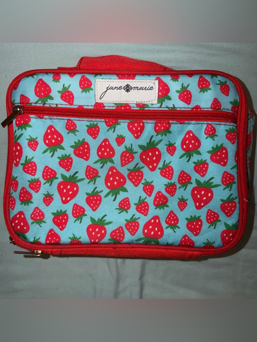 Jane Marie Red Strawberry picnic school lunch box